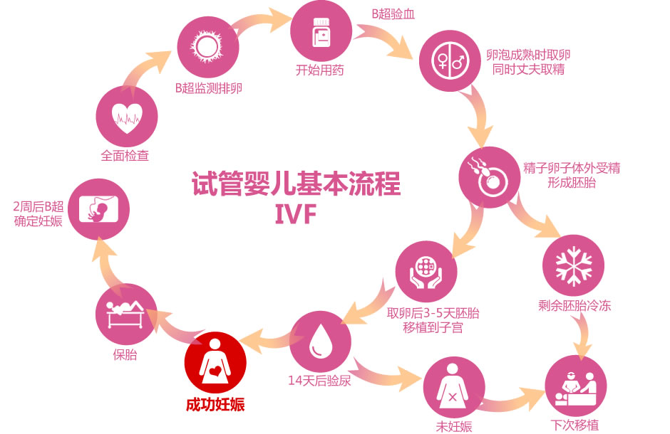 广州紫朵朵捐卵收费方案